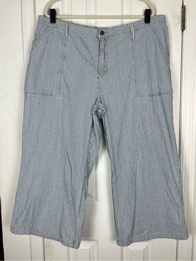 Standards & Practices Pinstripe High Rise Wide Leg Jeans Sz 22 Women’s Plus Size